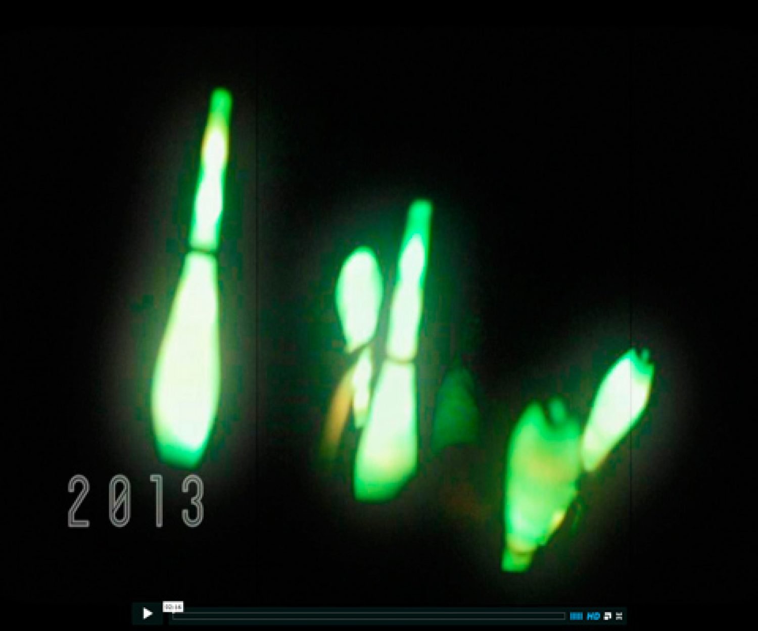 Promo Temporada 2013. - Circo Latino - Argentina.